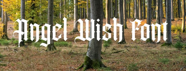 Angel Wish Font